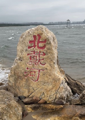 老王